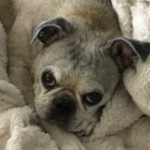 Meet your Posher, Terri